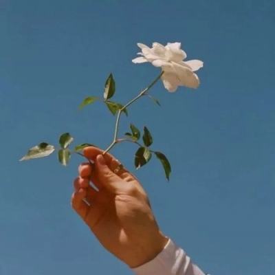 我的百亿个新娘无限新娘下载
